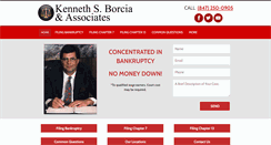 Desktop Screenshot of borcia.com